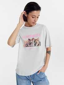 Mark Formelle   112678 112678   + 18114