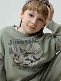 ����� �� 23.12  Crockid ������� (�������) ��� ��� �� 302843/���� 6206 �592