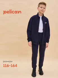 13.01 Pelican �������� ��� ��������� BFAXP7018U �����