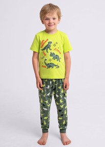 13.01 Clever �������� ���. CLE 909533��_� ������/��.������