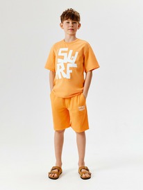 13.01 Acoola ����� ������� ��� ��������� Socotra_sh 20130420025 ���������