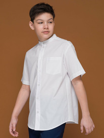 13.01 Pelican ������� ������� ��� ��������� BWCT7117 �����