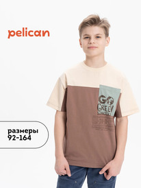 13.01 Pelican �������� ��� ��������� BFT3370/4 ��������