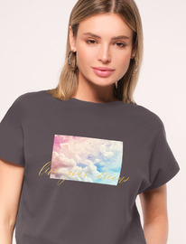 �����  �������� �� ���������� ������������ ������� � ��������� �������