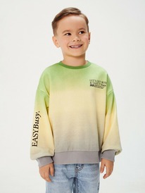 ����� �� 20.01 Acoola ������� ������� ��� ��������� Hawk 20130170011 �����������