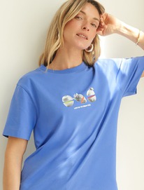 �������� �� ������������ ������ � ��������� �������