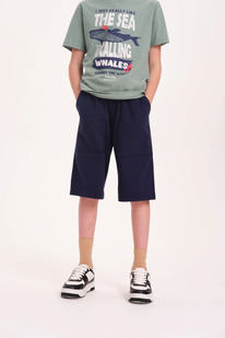 Pelican ����� ��� �������� BFH3352U �����-�����