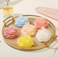 (������ ���������) ����� ������������� �������� 