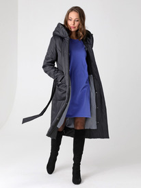 ������ DizzyWay 24319 ������