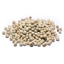 ����� ����� ������� 25 ��