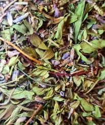 �������� ���� 