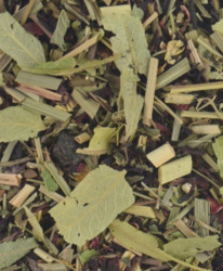 �������� ���� 