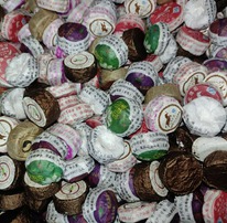 ���� �������