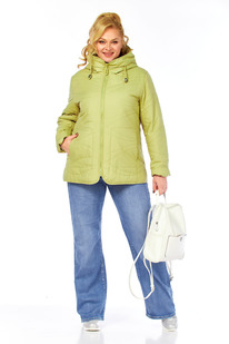 ������ SHETTI 2211 �����������