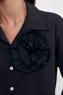 70295 �����