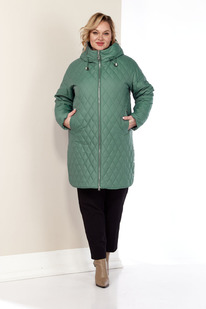 ������ SHETTI 2179 ����