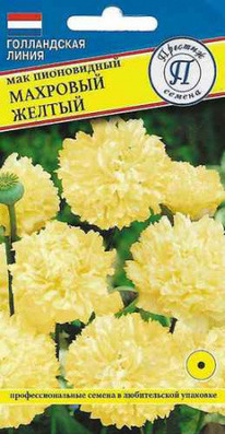 ��� �������� ������ ����������� ����������