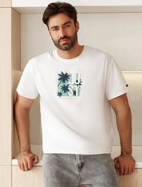 27.03  Vilatte ��������� ��������  � ��������� ������� U49.048 �����_just