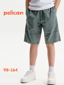Pelican ����� ��� �������� BGH3394 �������