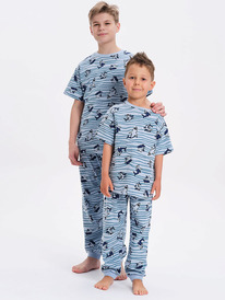 Pelican ������ ��� ��������� NFATP3371U �������