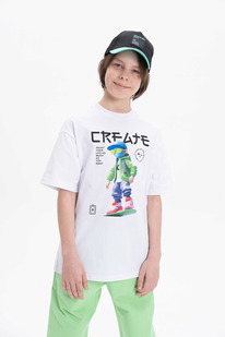 Pelican �������� ��� ��������� BFT3369/4 �����