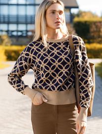 06.04  Vilatte ������� ���������� ����������� ����� � ��������� D39.309 �����-��