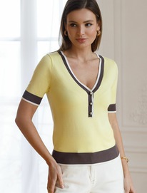 06.04  Vilatte ������� � V-������� � �������� ������� �� ������� D39.387 �������