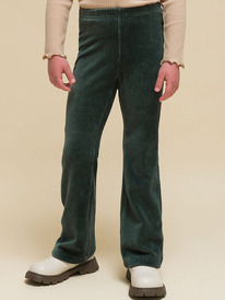 Pelican ����� ��� ������� GFPQ3337 ����