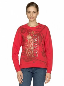 09.04  Pelican ��������� ������� DFN6828 �������