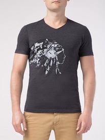 27.03  DiWaRi ������� ������� DIWARI ������� MD 750 17�-435��� ������ MD 750