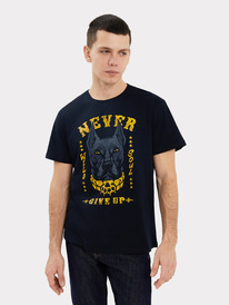 22.03  Mark Formelle �������� ������� 111831 111831 ������ +������3 75369