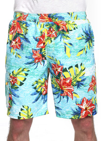 27.03  Clever ����� ������� CLE 563369pk ��.������/���������