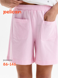 12.04  Pelican ����� ��� ������� GFH3369U ������-�������