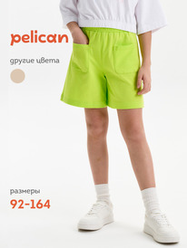 12.04  Pelican ����� ��� ������� GFH3369U ���������