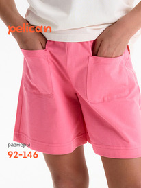 12.04  Pelican ����� ��� ������� GFH3369//3U �������
