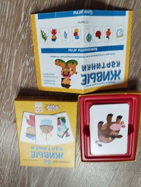 ���� ����� ��������