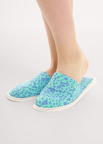 06.04  Clever ��������� ���. �����. Ѹ�� CLE SW25-1169C ��.������/�������