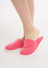 06.04  Clever ����� ������� CLE SW25-1168C ��.�������