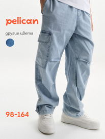 16.05  Pelican ����� ��� ��������� BGP3373 �������