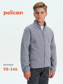 16.05  Pelican ������ ��� ��������� BFXS3376//1 �����