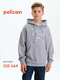 16.05  Pelican ��������� ��� ��������� BFNK3377/2 �����