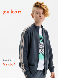 16.05  Pelican ��������� ��� ��������� BFXS3389/2U �����