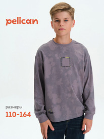 26.05 Pelican ������� ��� ��������� BFJ3377 �����