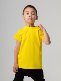 08.04 Bodo �������� 113-��6�� 113-��6�� ������