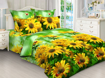 ������� ���������� ����� �� ���� - ������ ������� (4227 - 3031 )