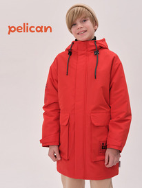 22.04 Pelican ���� ��� ��������� BZRM3371 �������