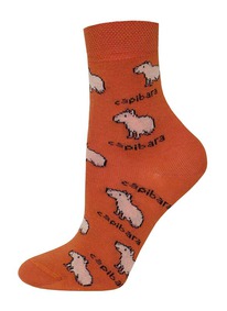 12.04  ��������� ������������ ��������� ����� ������� 3081 SCHOOL 14�3081 ����� 