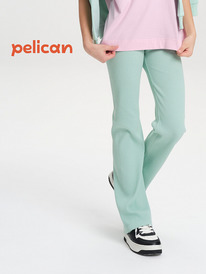 12.04  Pelican ����� ��� ������� GFL3352 ������