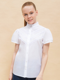 12.04  Pelican ������ ��� ������� GWCT7137 �����