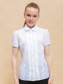 12.04  Pelican ������ ��� ������� GWCT7136 �����